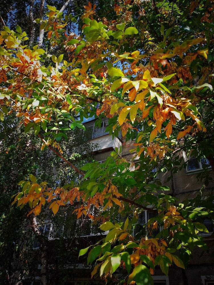 Photograph by Настя Настена