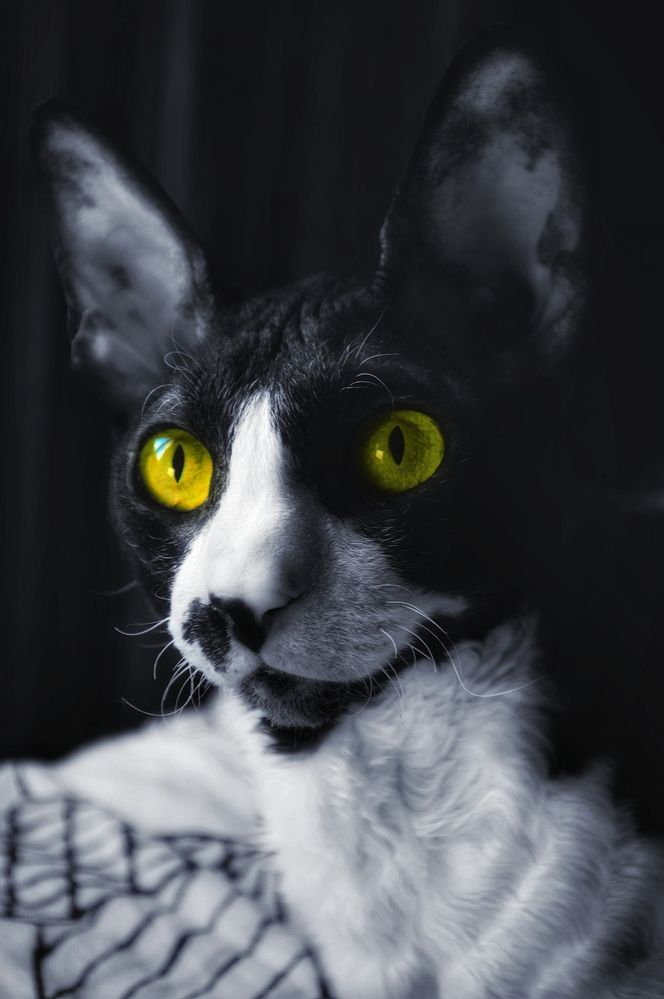 Photograph by Александр Лабутин
