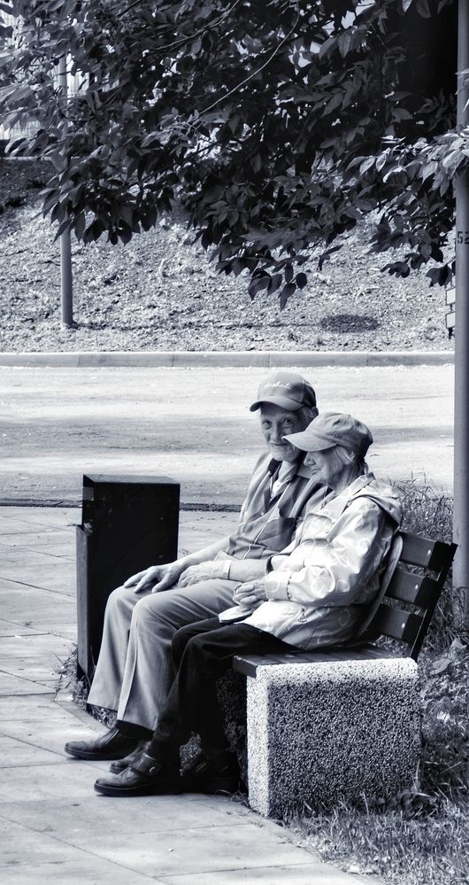 Photograph by Александр Лабутин