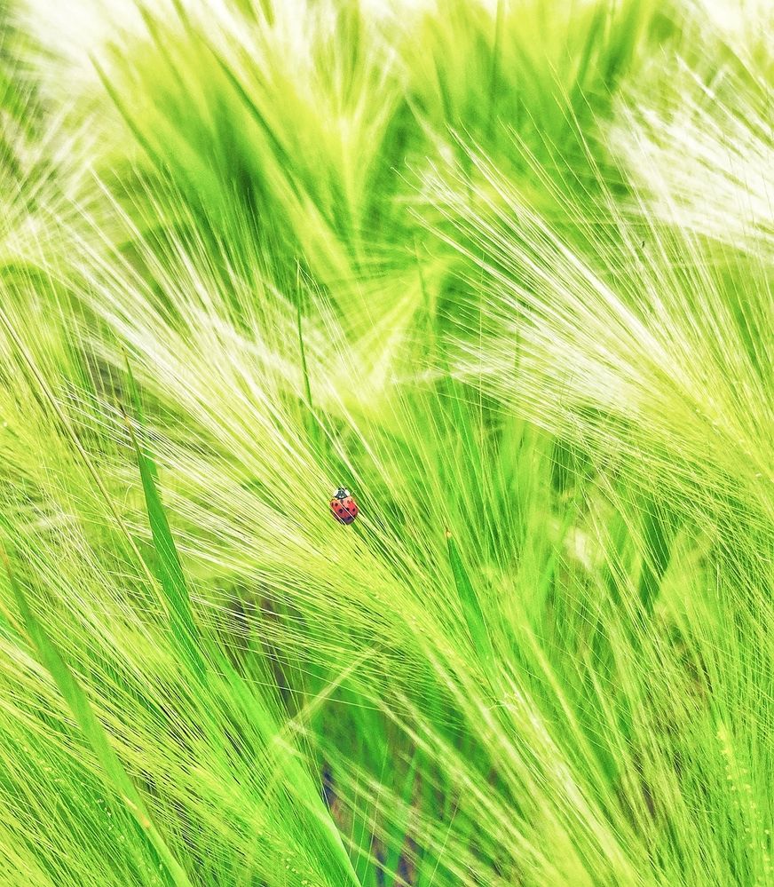 Photograph by Александр Лабутин