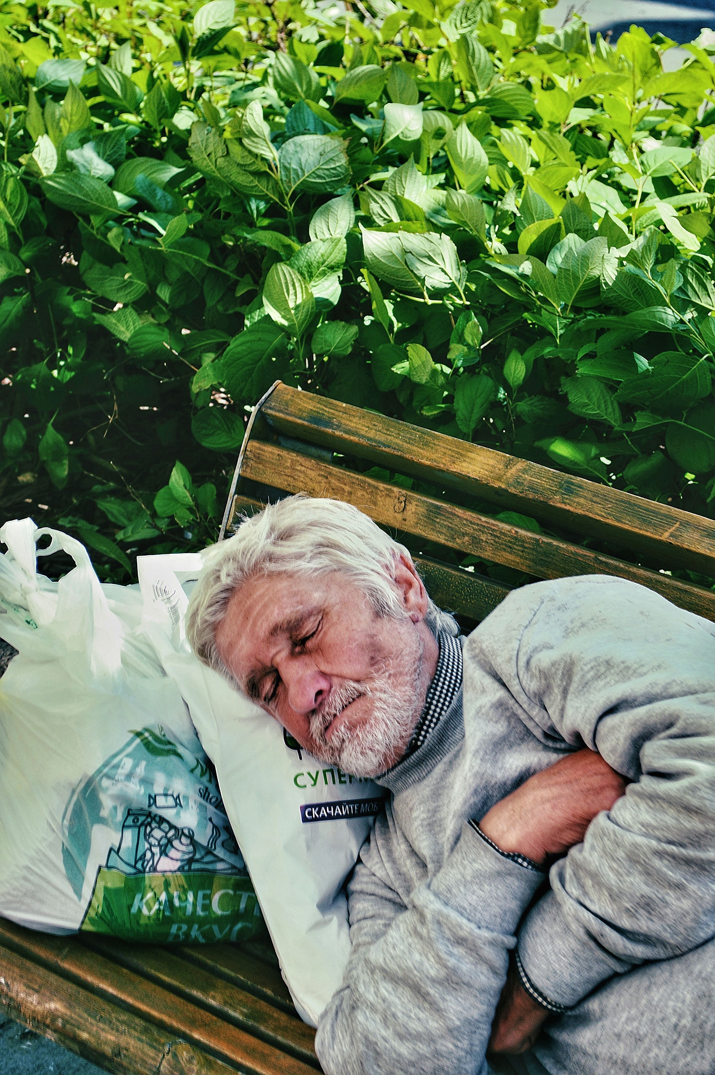 Photograph by Александр Лабутин
