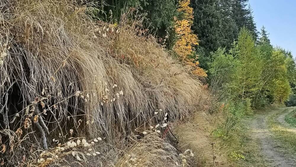 Photograph by Наталья Баранова