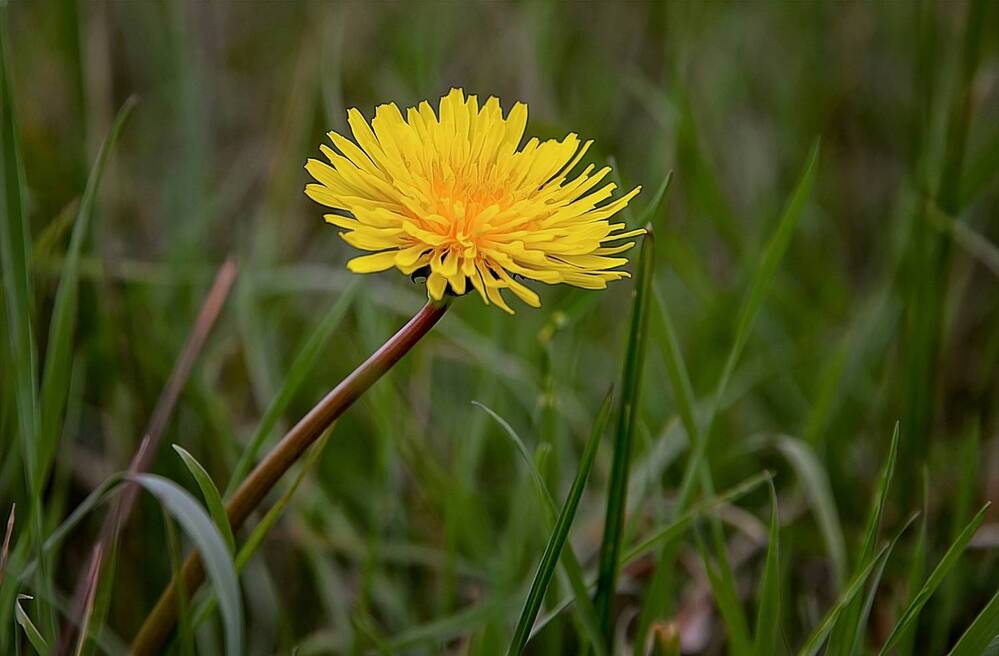 Photograph by Александр Шипиленко