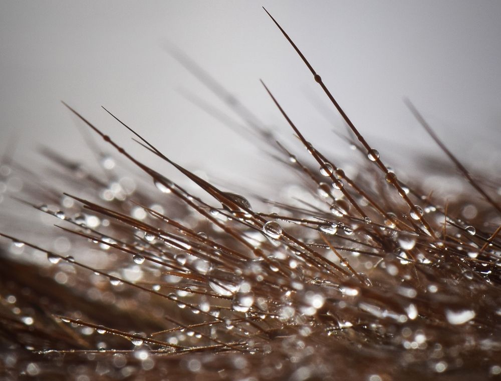 Photograph by Aleksandra Bistrova