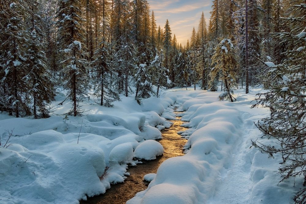 Photograph by Вадим Городницкий