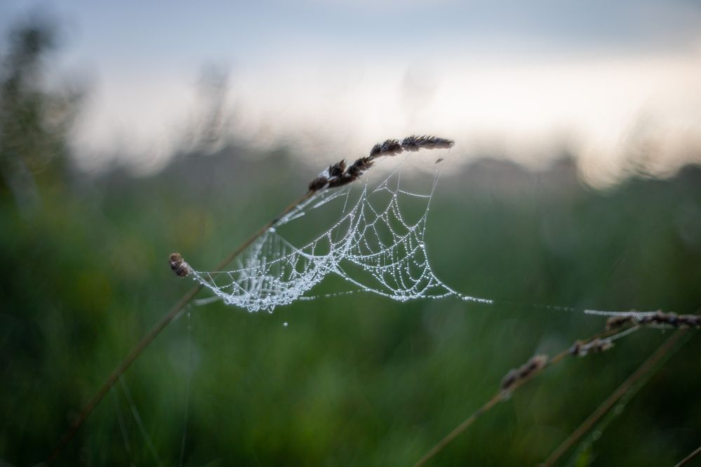 Photograph by Олег Дорошенко