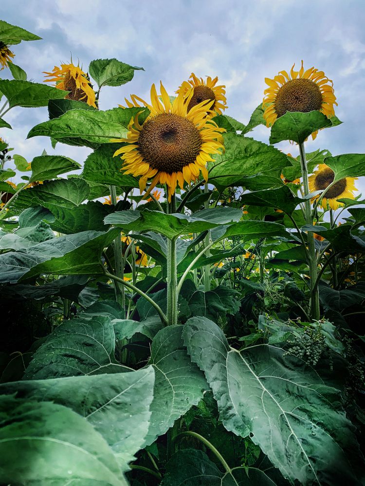 Photograph by Swetlana Lebedev