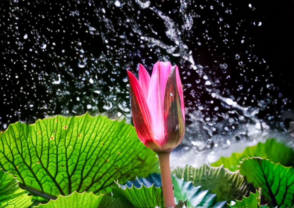 Photograph by Edi Hidayat