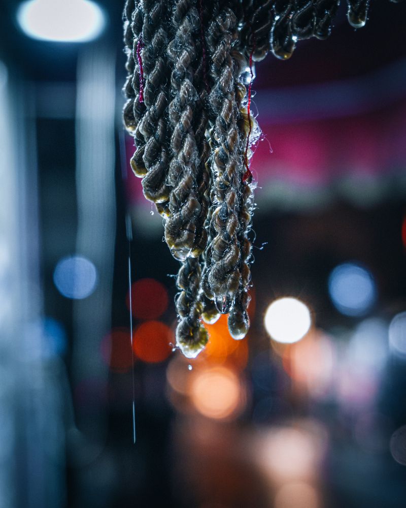 Фотография автора Nikolai Nikolin