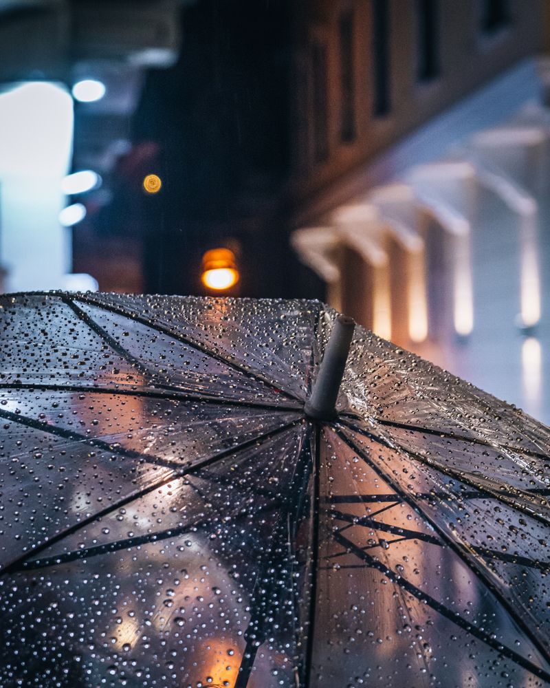 Фотография автора Nikolai Nikolin