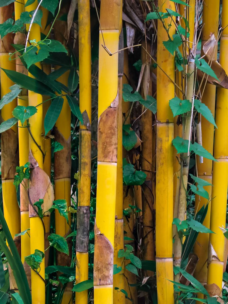 Photograph by Edi Hidayat