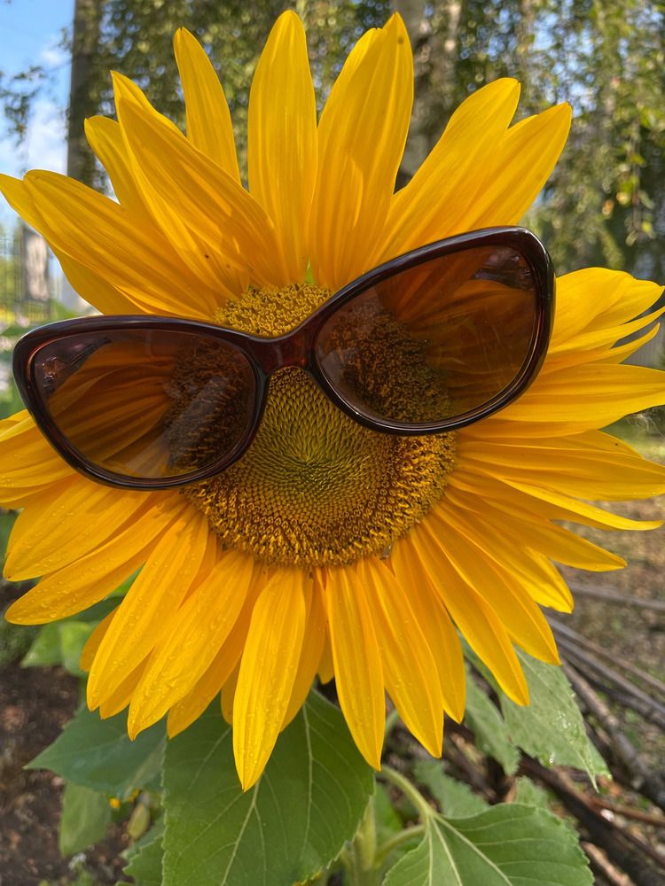 Photograph by Светлана Хохлова