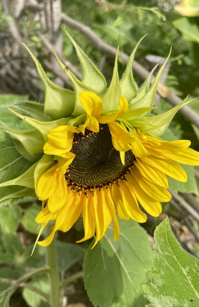 Photograph by Светлана Хохлова