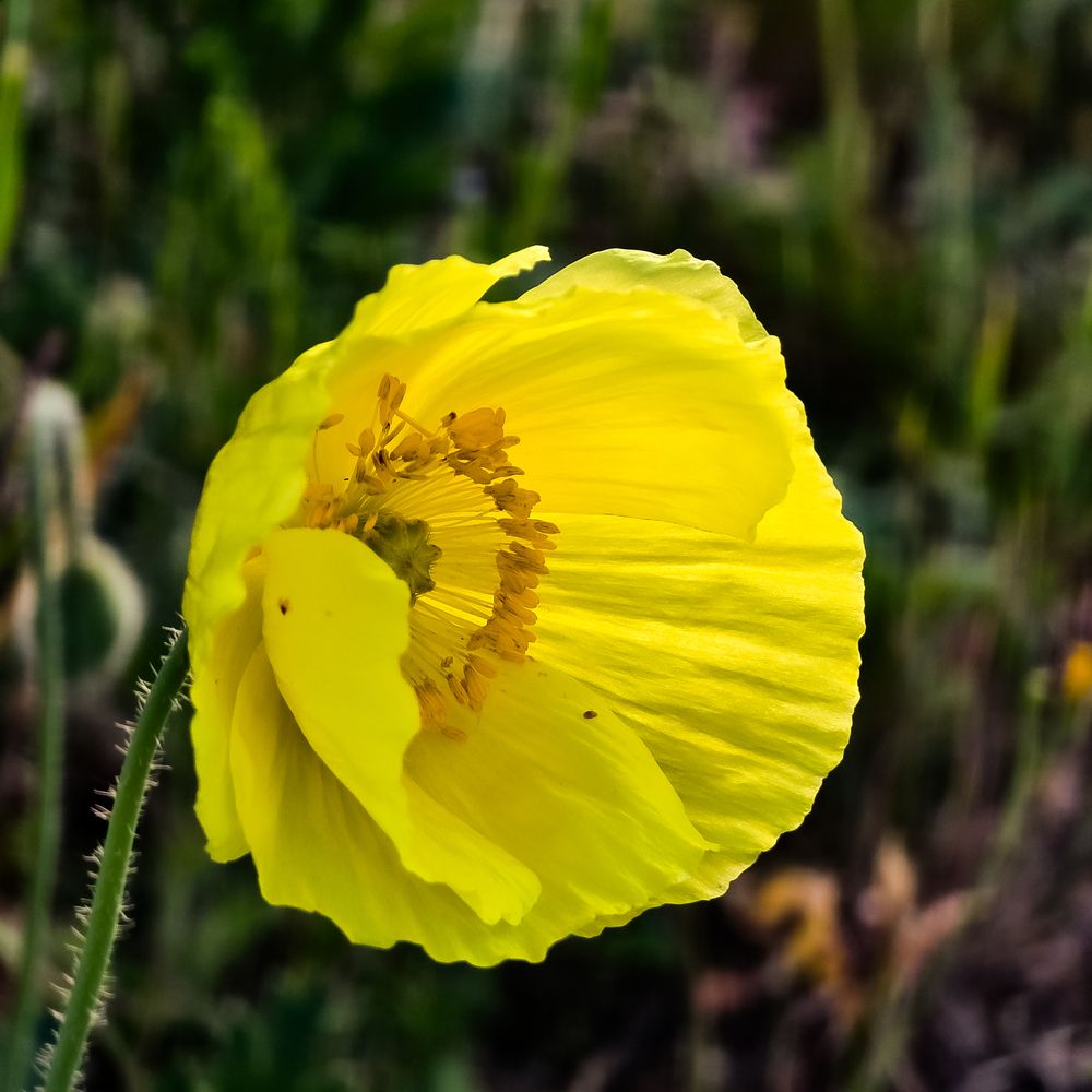 Фотография автора Нина Зинченко