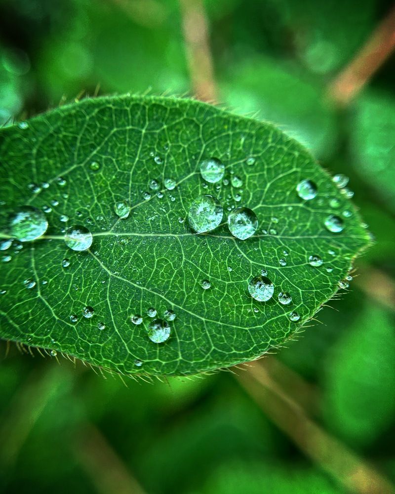 Photograph by Екатерина Набатчикова