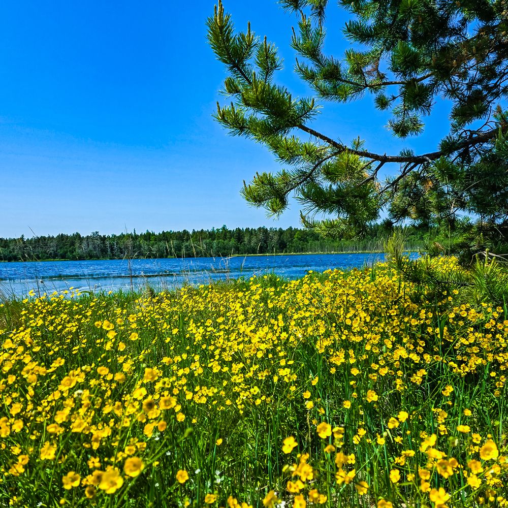 Фотография автора Нина Зинченко