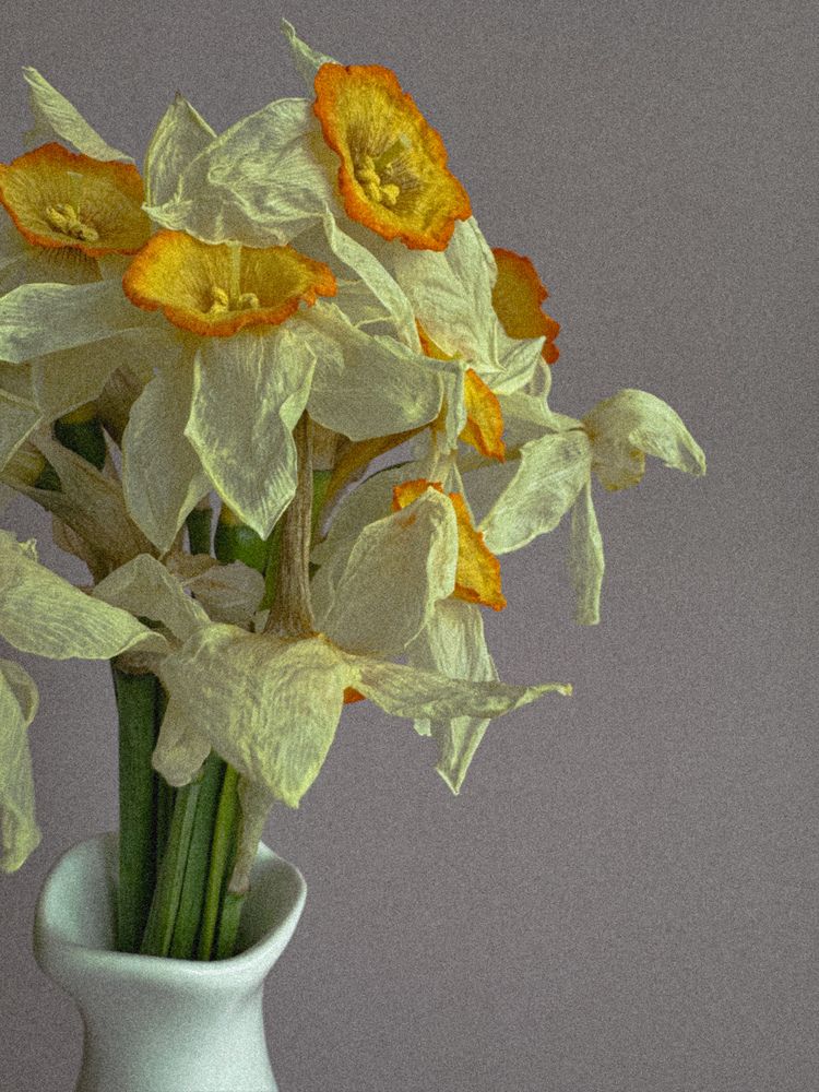 Photograph by Julia Subbotina