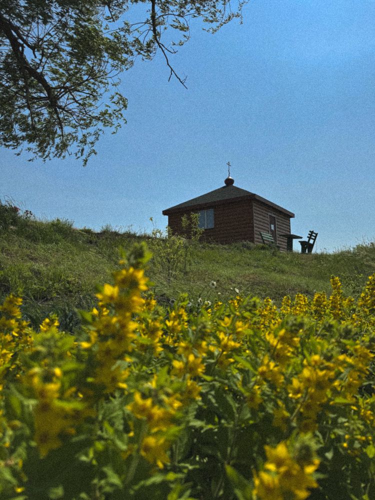 Photograph by Julia Subbotina