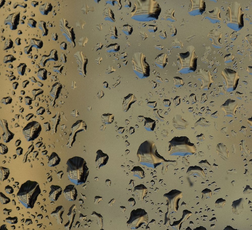 Photograph by Aleksandra Bistrova