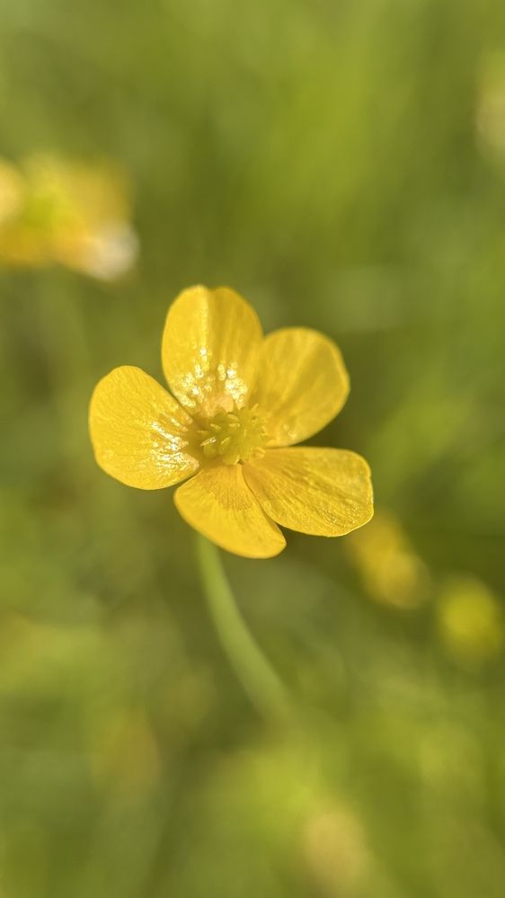 Photograph by Екатерина Набатчикова