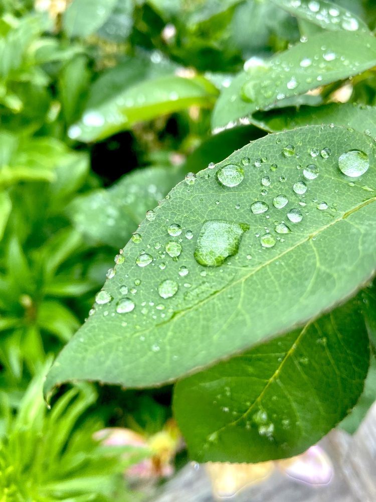 Photograph by Наталья Душакова