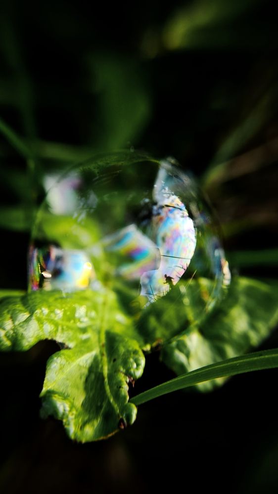 Photograph by Eugenia Blinova