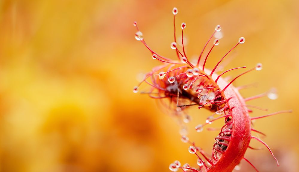 Photograph by Алёна Тиханович