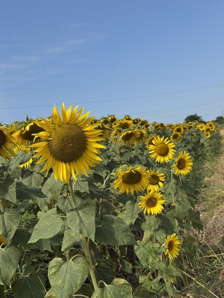 Photograph by Бойкова Наталия