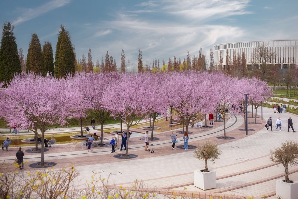 Фотография автора Константин Яковлев