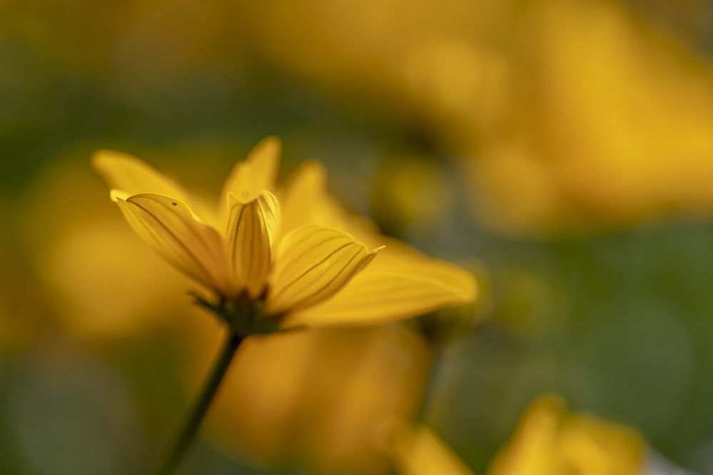 Фотография автора Nikolay Tatarchuk