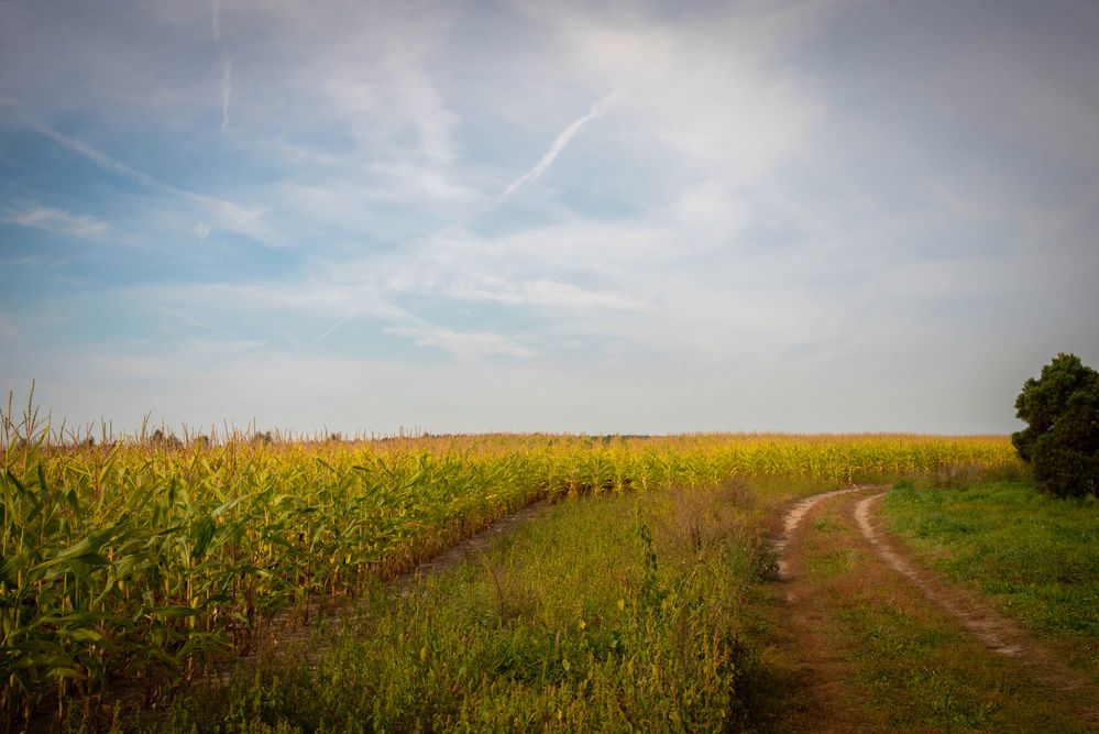 Фотография автора Геннадий Коробов