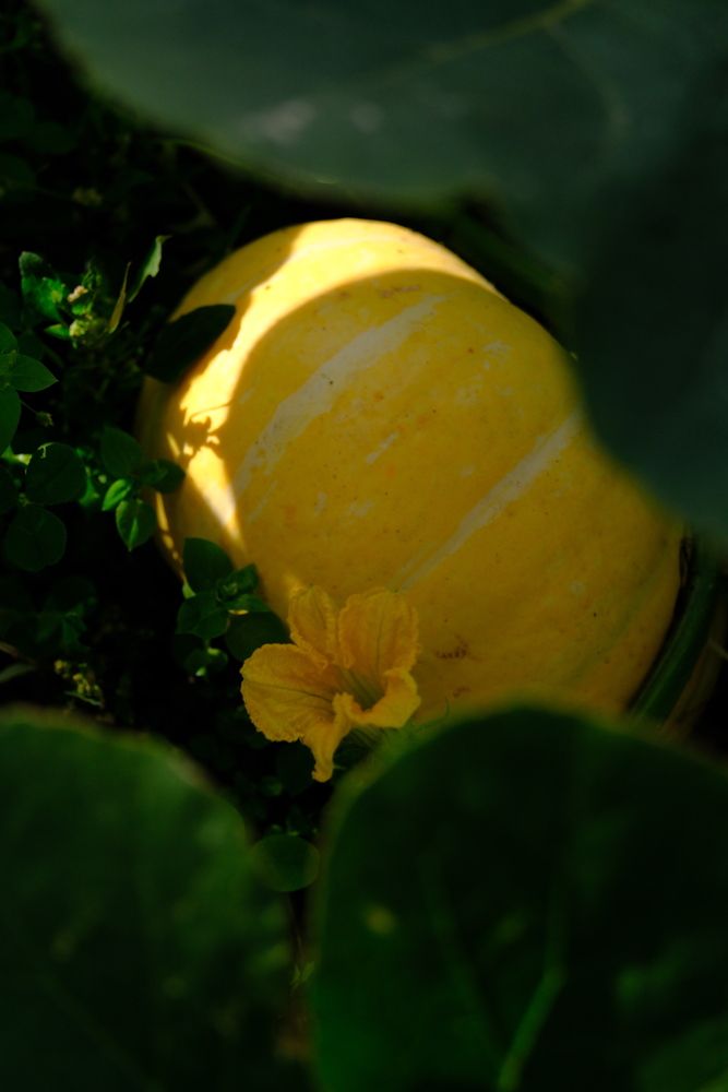 Photograph by Яна Истоцкая