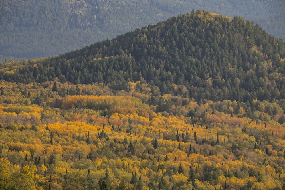 Photograph by Елена Перминова