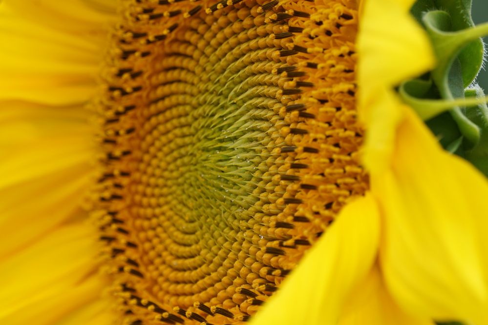 Photograph by Алфия Бугакова