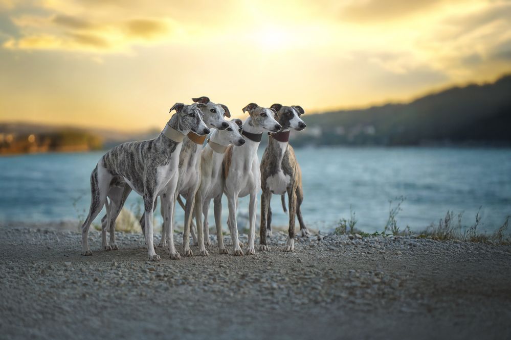 Photograph by Наталья Орел