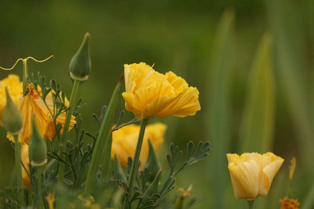 Photograph by Алфия Бугакова