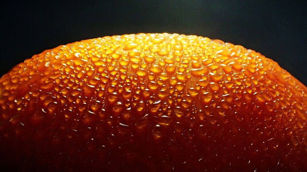 Photograph by Станислав Карташов