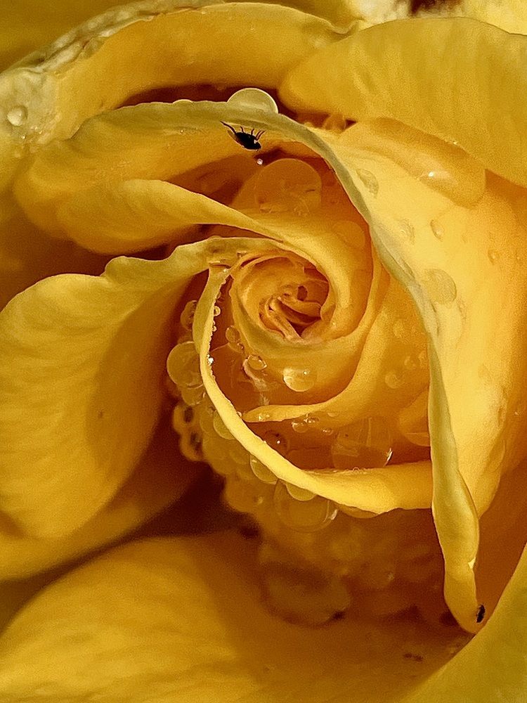 Photograph by Мария Карпычева