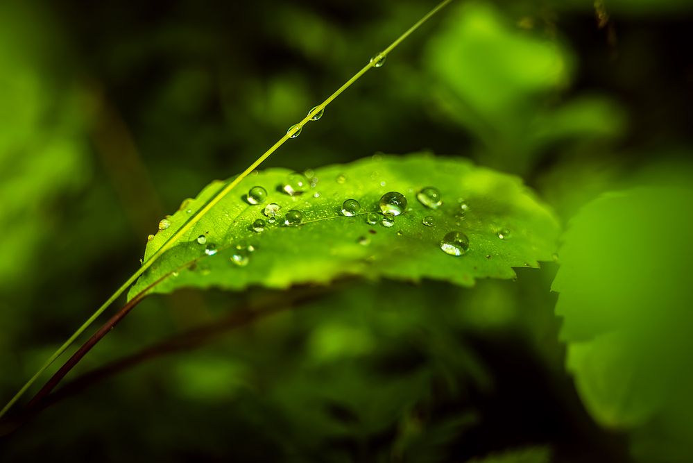 Photograph by Ильдар Шангараев