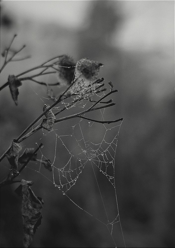 Фотография автора Светлана Алехина