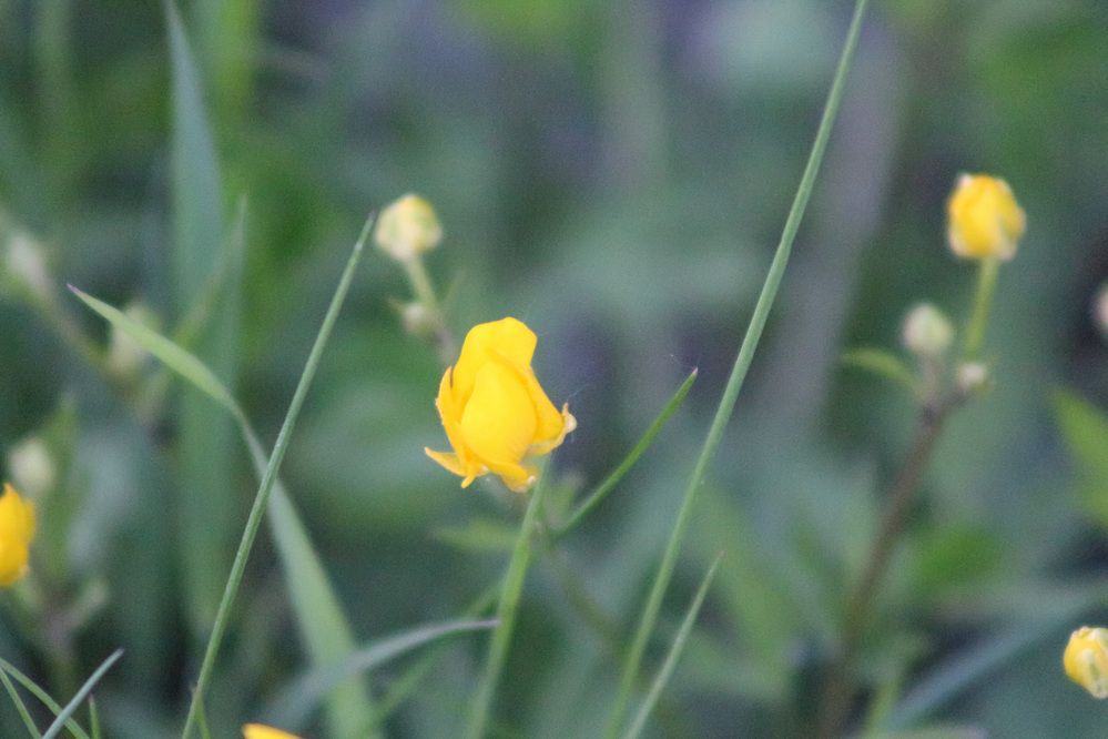 Photograph by Kim Natasha