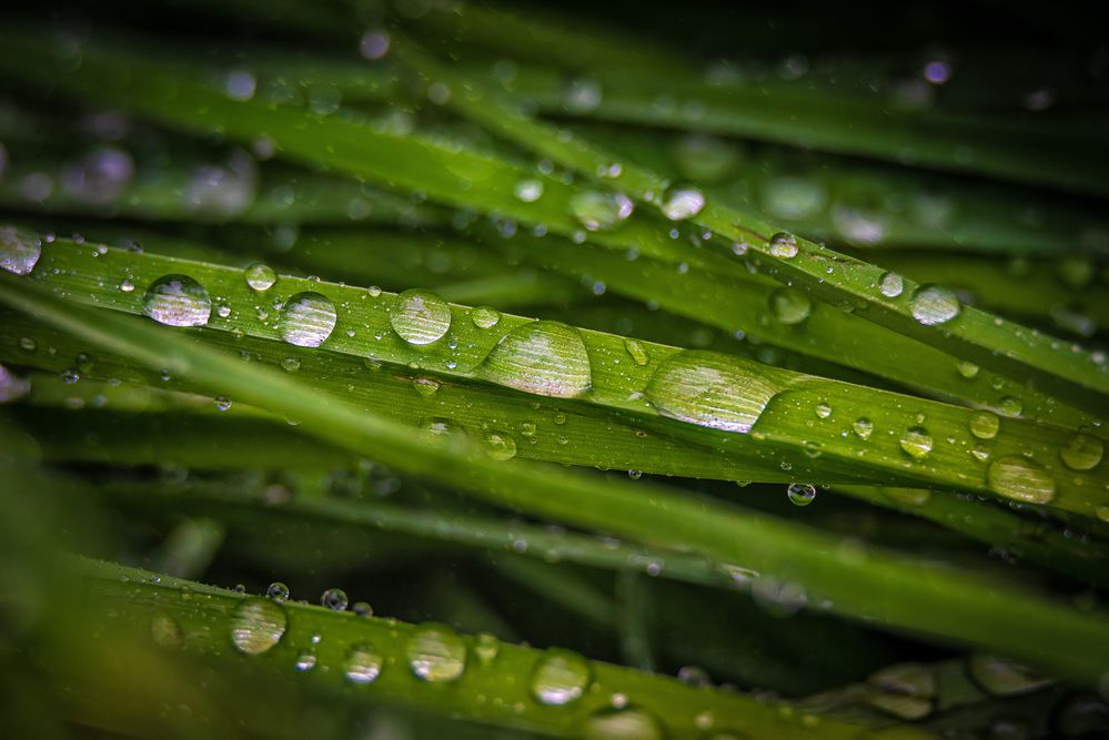 Photograph by Ильдар Шангараев