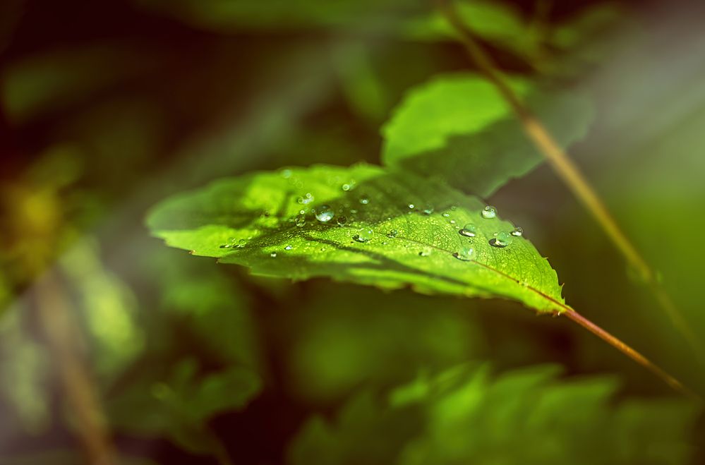 Photograph by Ильдар Шангараев