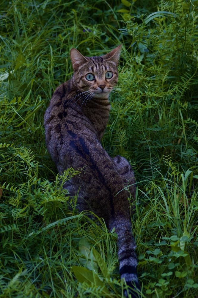 Фотография автора Сергей Борзов