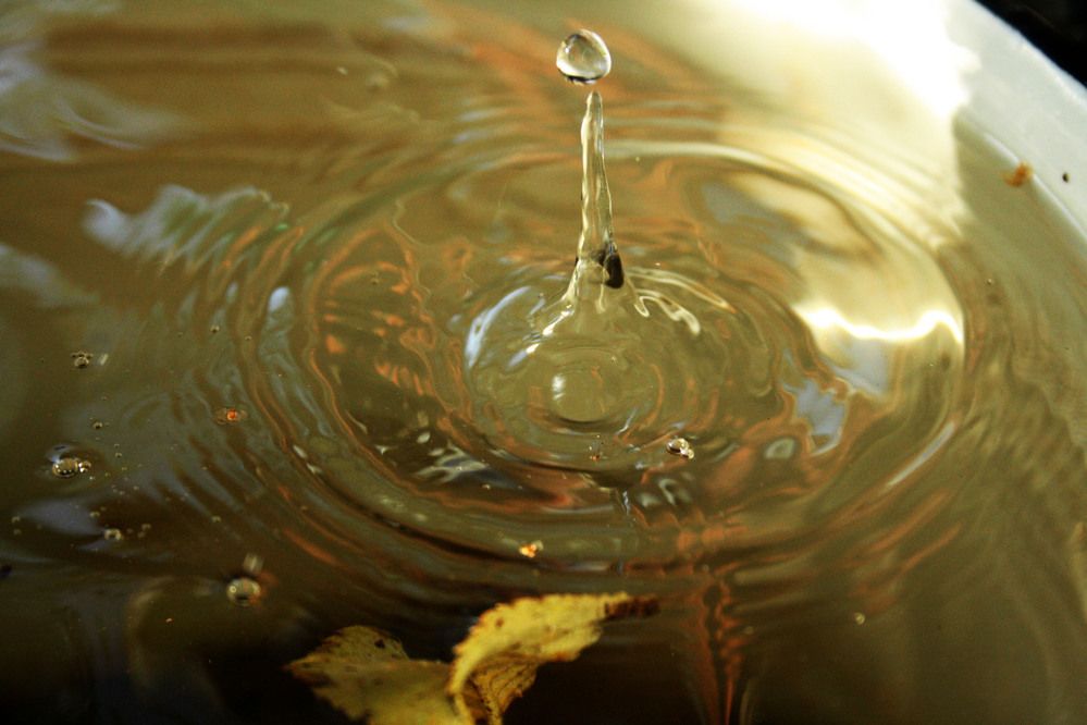 Photograph by Сергей Плотников