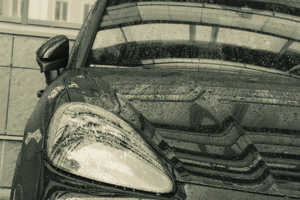 Фотография автора Евгений Шубин