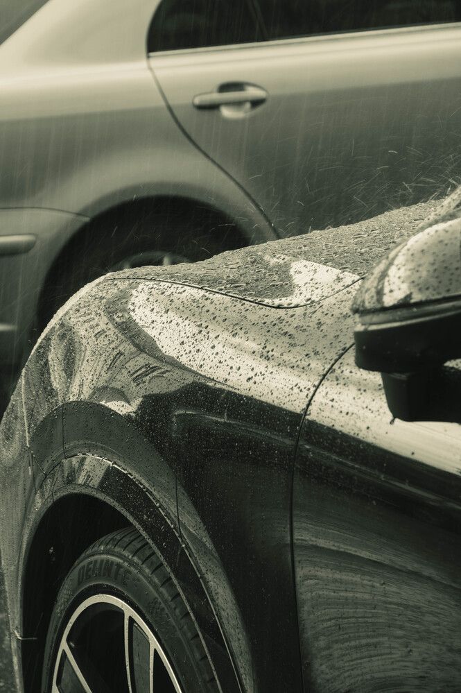 Фотография автора Евгений Шубин