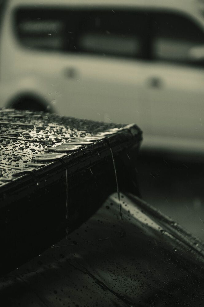 Фотография автора Евгений Шубин