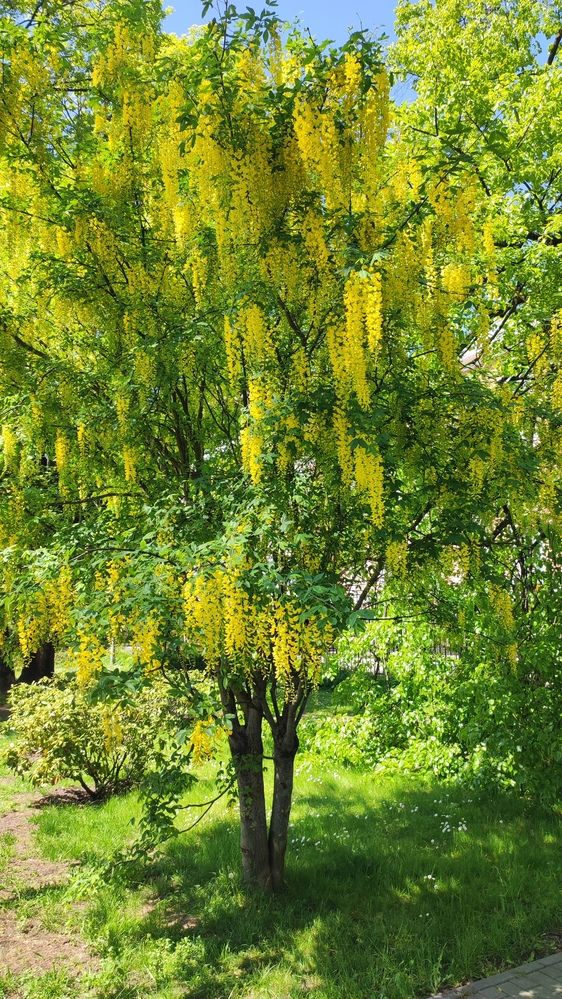 Photograph by Марийона Савоненко