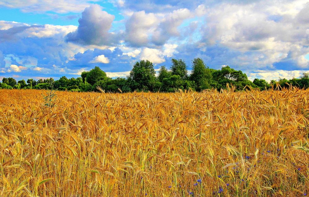 Photograph by Виталий Симоненков